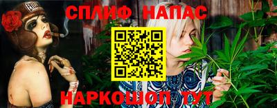 СК Краснознаменск