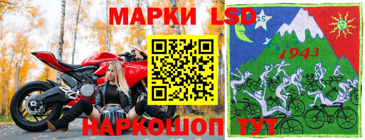 НБОМе Кашира
