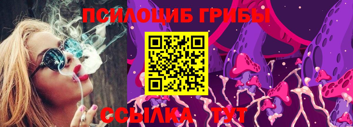 Галлюциногенные грибы Psilocybe Кашира