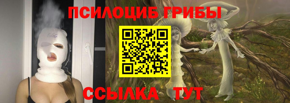 даркнет сайт  Вход с VPN  Кашира  Псилоцибиновые грибы Psilocybine cubensis 